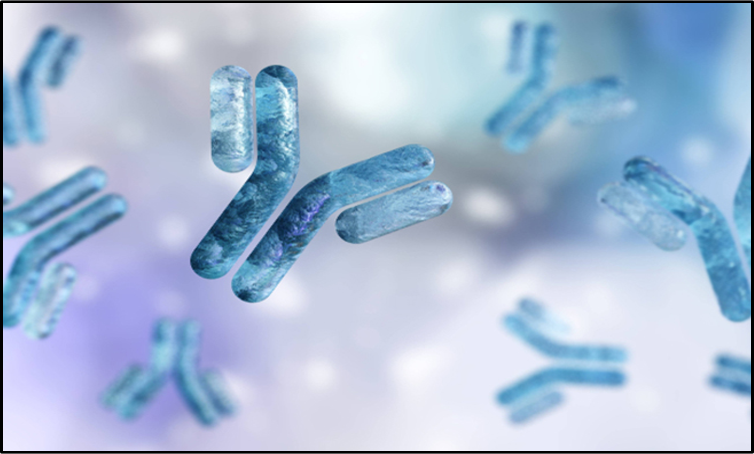 Antibodies & ELISA Kits